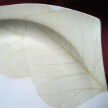 Набор тарелок Japonica Зеленый лист